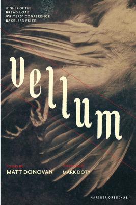 【预订】vellum