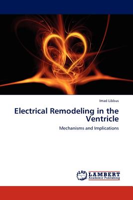 【预订】electrical remodeling in th