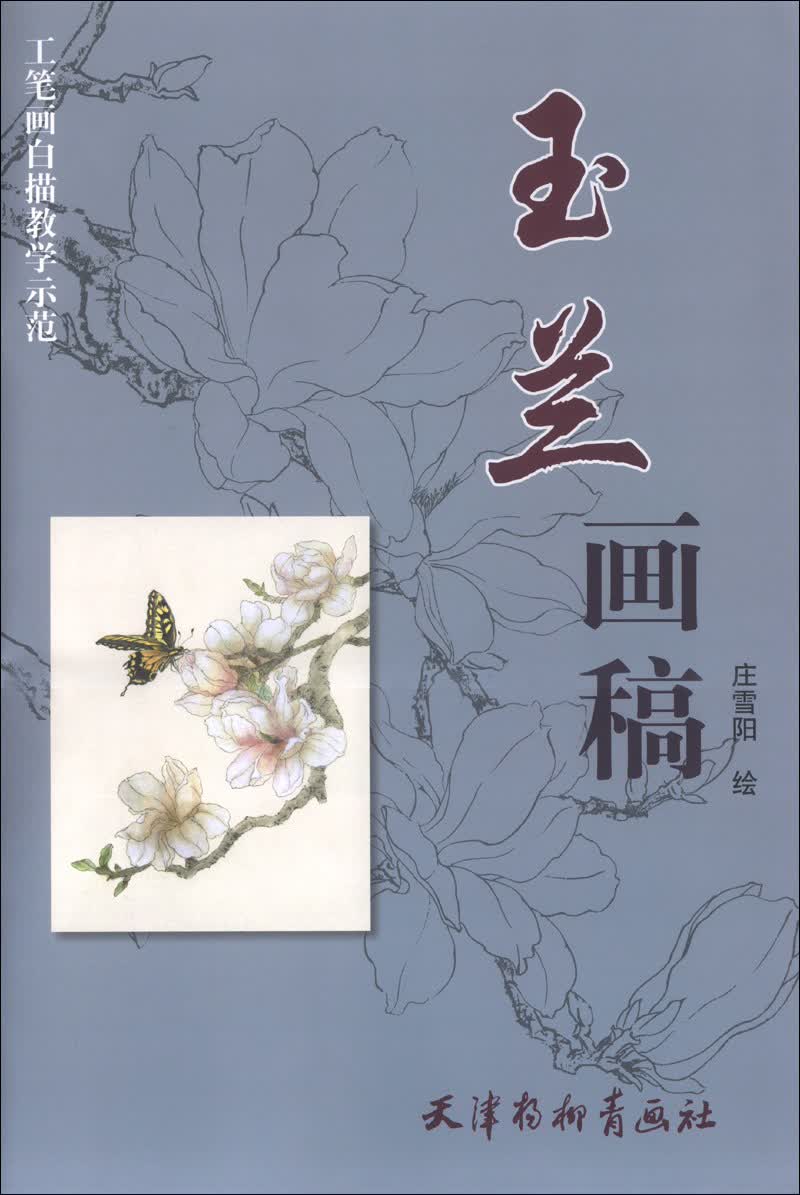 工笔画白描教学示范：玉兰画稿