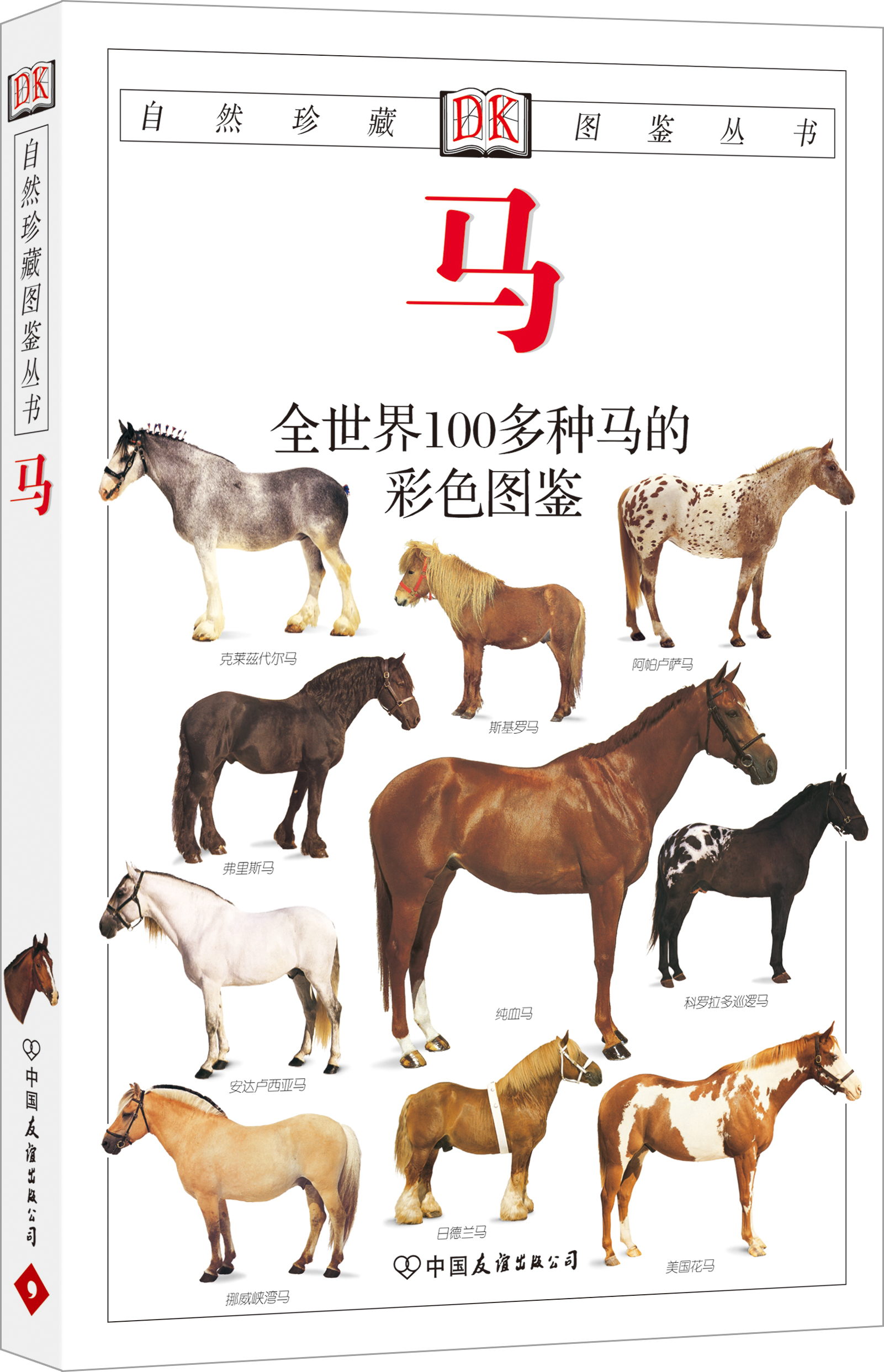 自然珍藏图鉴丛书：马