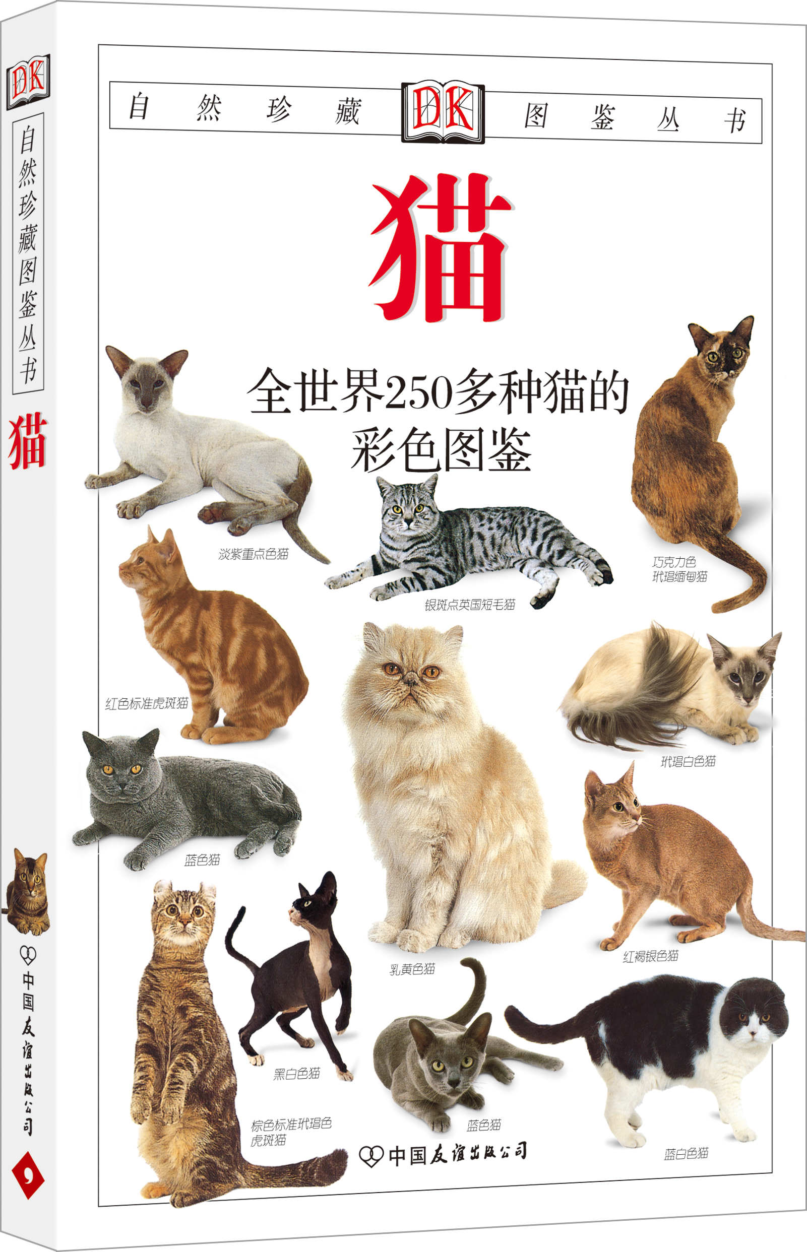 自然珍藏图鉴丛书：猫