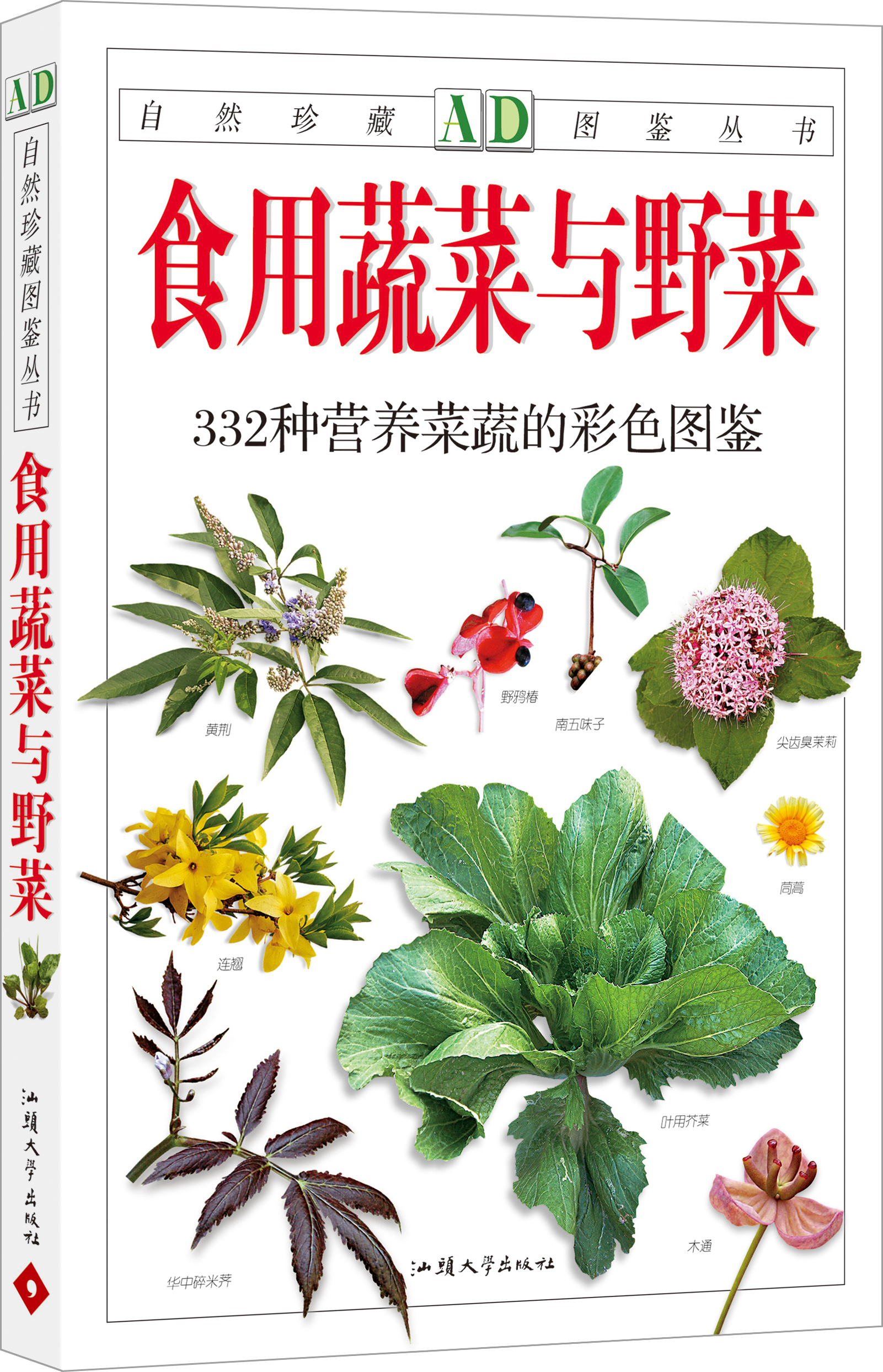 自然珍藏图鉴丛书：食用蔬菜与野菜