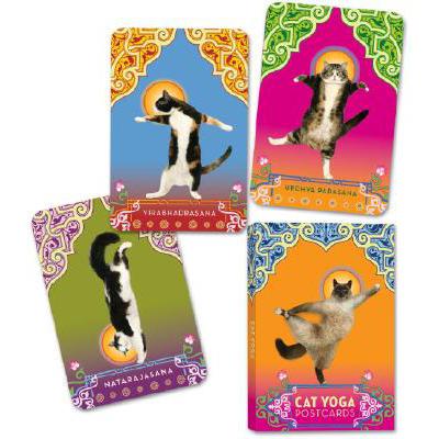预订 Cat Yoga Postcards