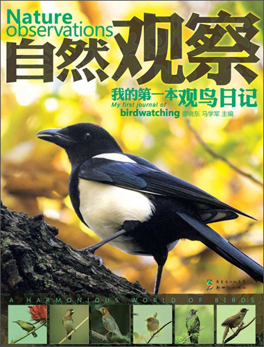 自然观察:我的第一本观鸟日记