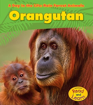 【预订】orangutan