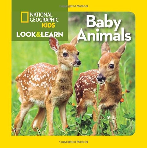 National Geographic Kids Look and Learn: Baby Animals