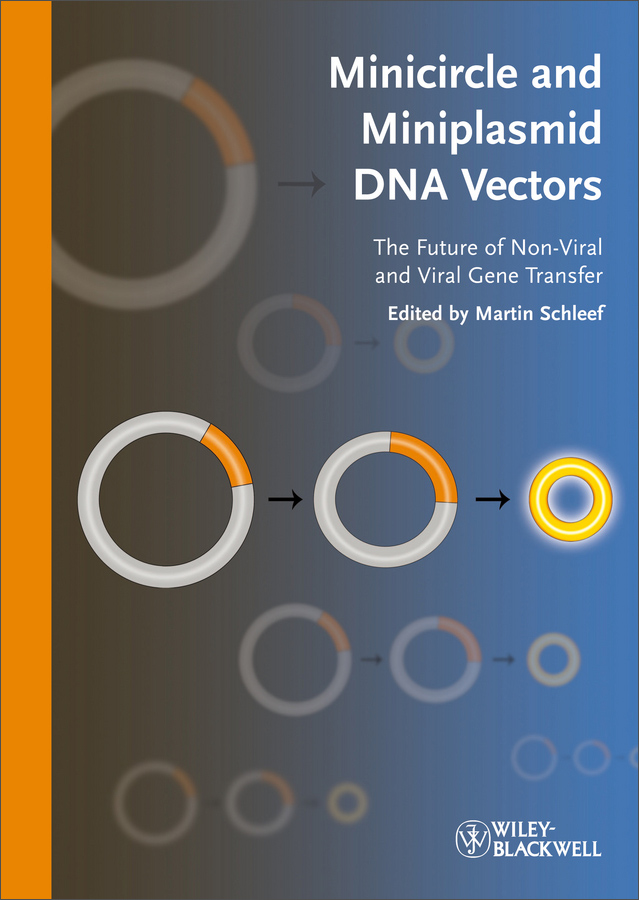 minicircle and miniplasmid dna vectors: the future of non-viral