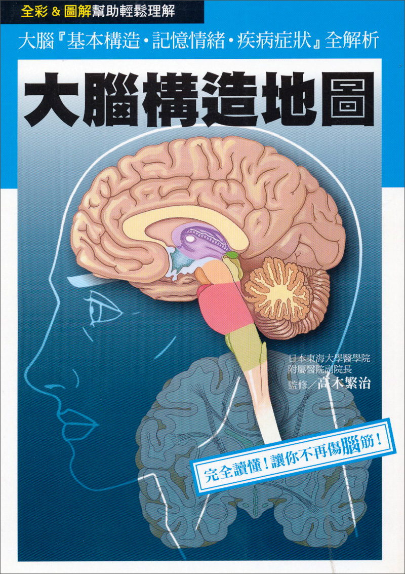 大腦構造地圖