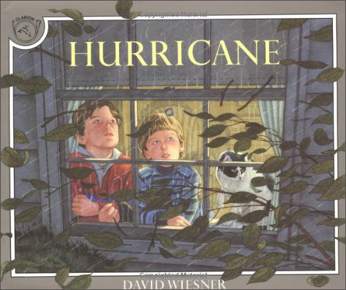 Hurricane 飓风 