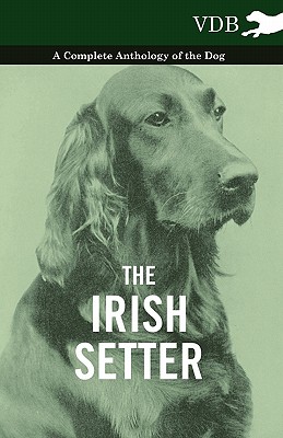 【预订】the irish setter - a complete anthology