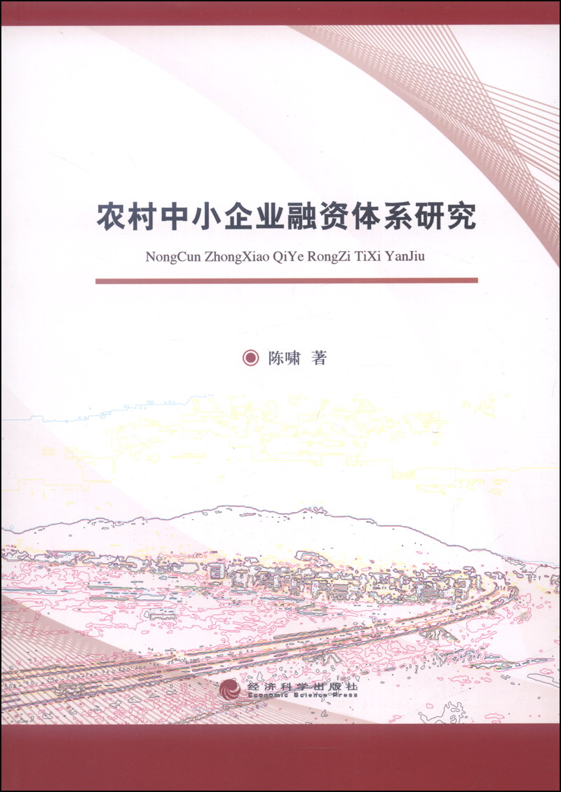 农村中小企业融资体系研究