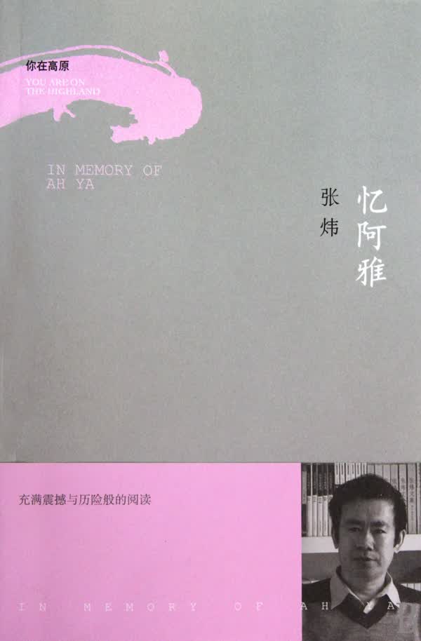 忆阿雅/你在高原