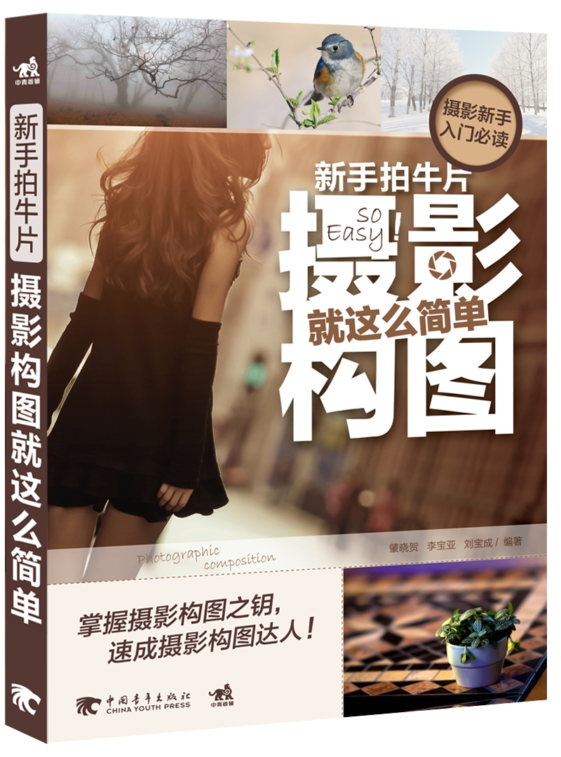 新手拍牛片：摄影构图就这么简单9787515323091