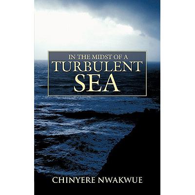 预订 In the Midst of a Turbulent Sea