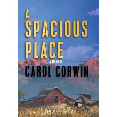 预订 A Spacious Place
