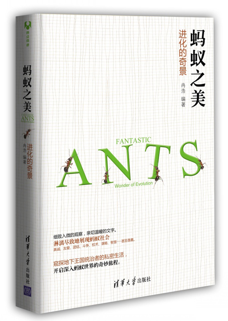 蚂蚁之美:进化的奇景 生物世界 蚂蚁之美
