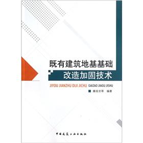 既有建筑地基基础改造加固技术