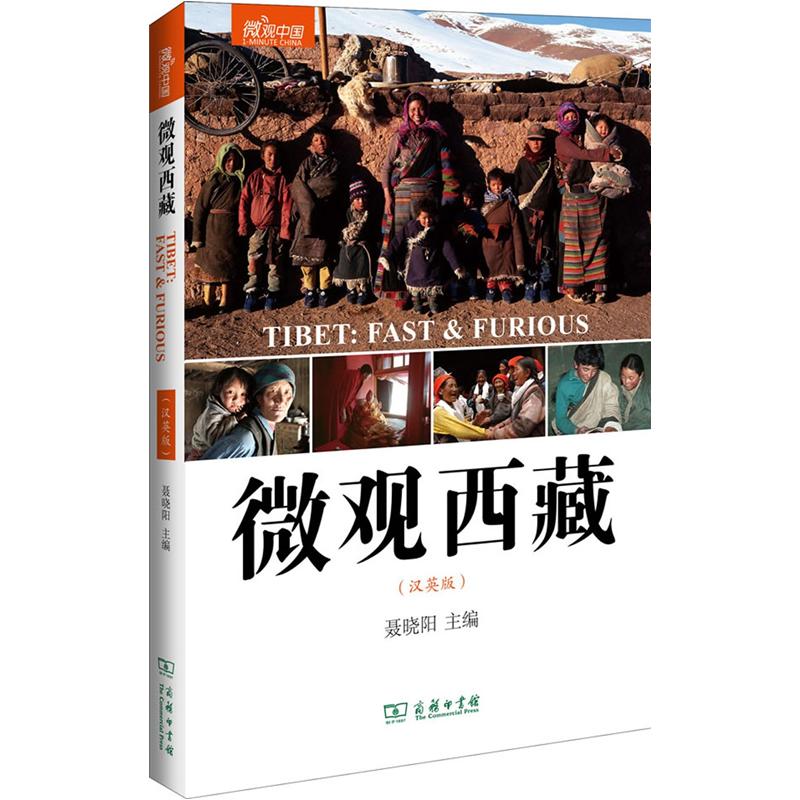 微观中国：微观西藏（汉英版）