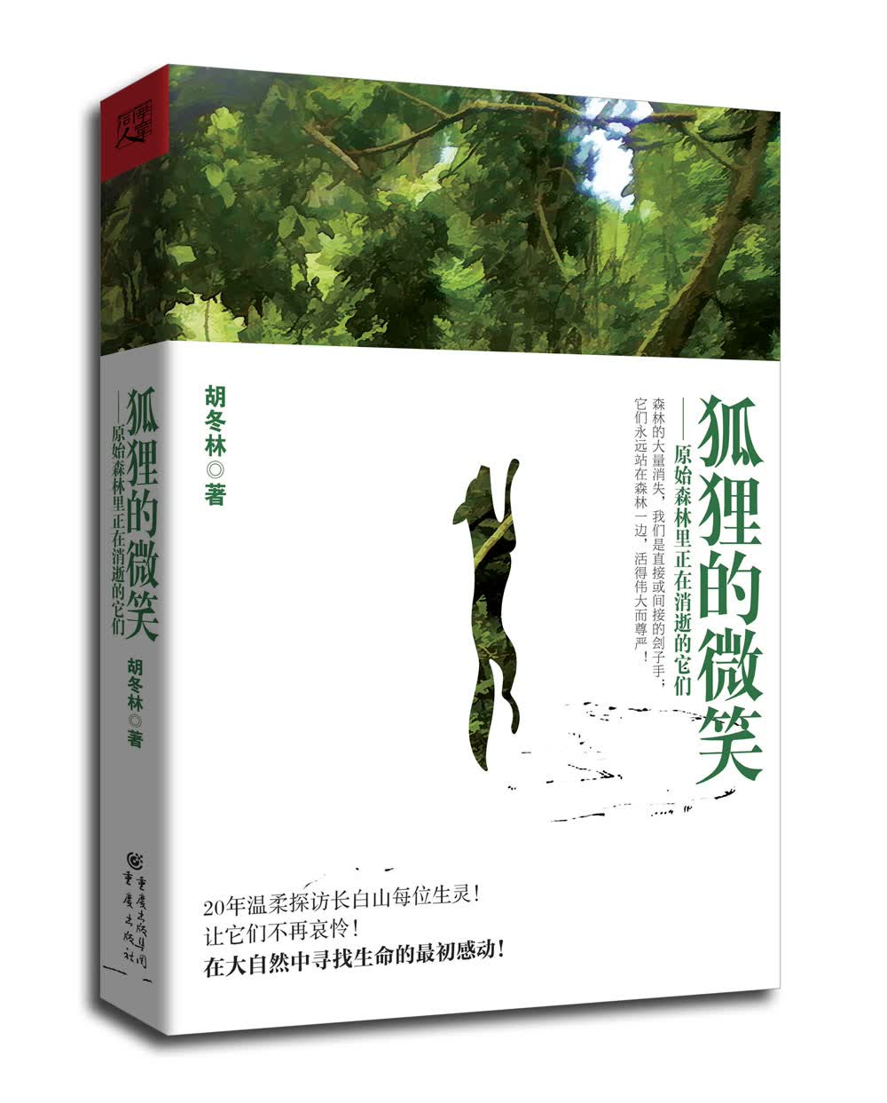 狐狸的微笑:原始森林里正在消逝的它们