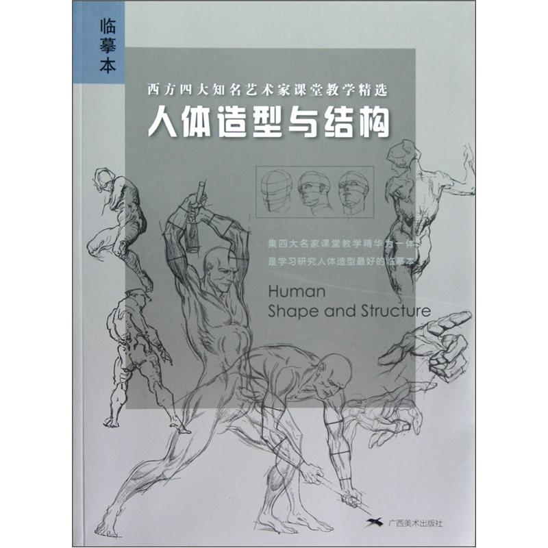 西方四大知名艺术家课堂教学精选:人体造型与结构