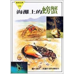 海灘上的螃蟹