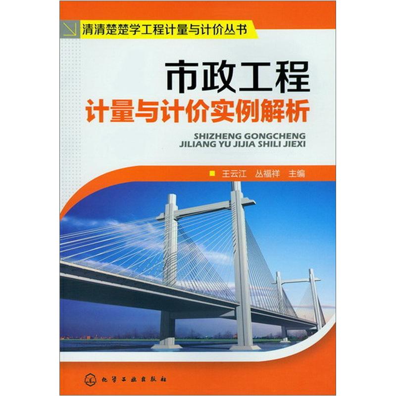 清清楚楚学工程计量与计价丛书：市政工程计量与计价实例解析