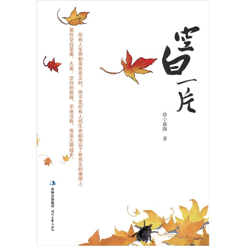 正版现货空白一片9787538741261