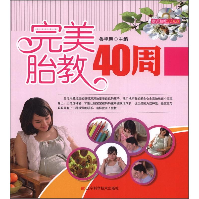 正版现货 完美胎教40周9787538175714辽宁科技