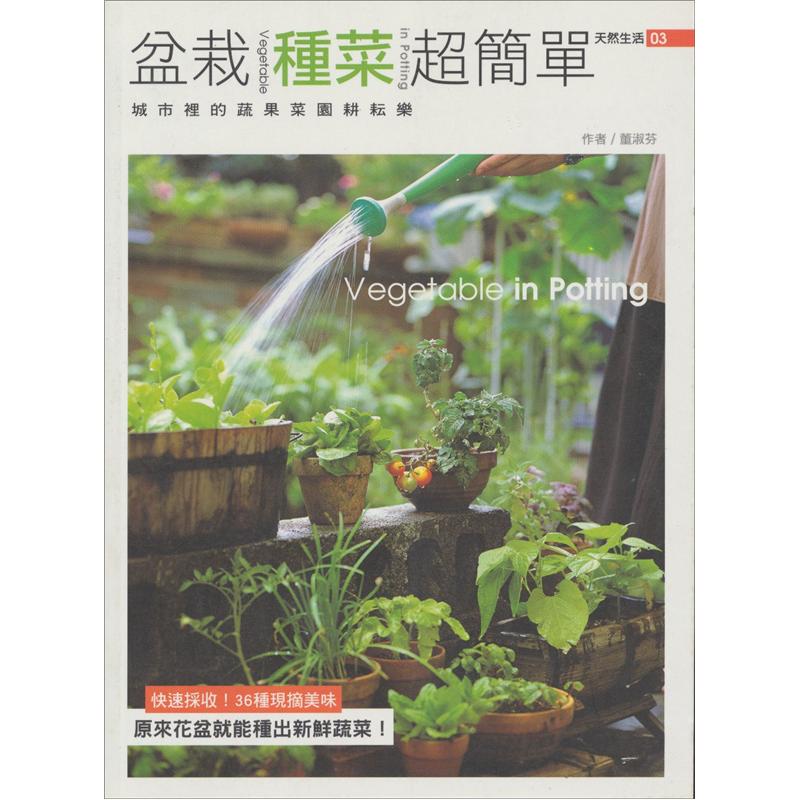盆栽種菜超簡單