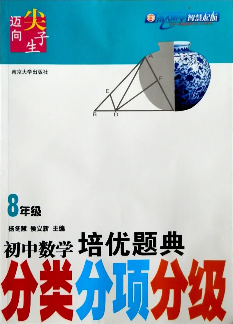 迈向尖子生：初中数学培优题典（分类、分项、分级）（8年级）封面