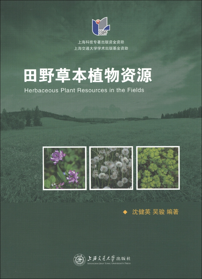 田野草本植物资源