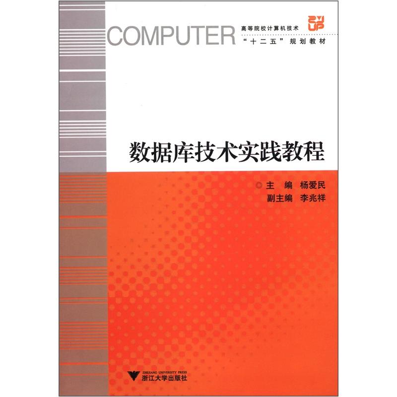 高等院校计算机技术&ldquo;十二五&rdquo;规划教材：数据库技术实践教程