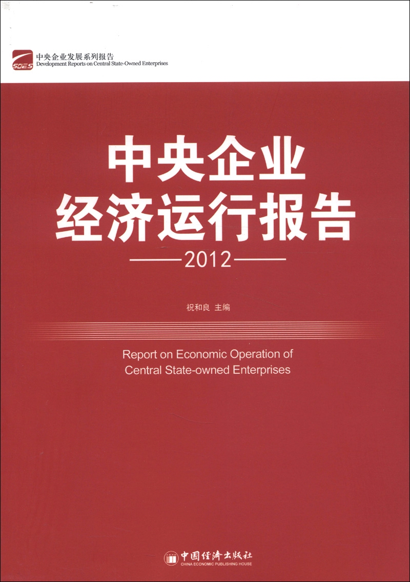 中央企业经济运行报告（2012）