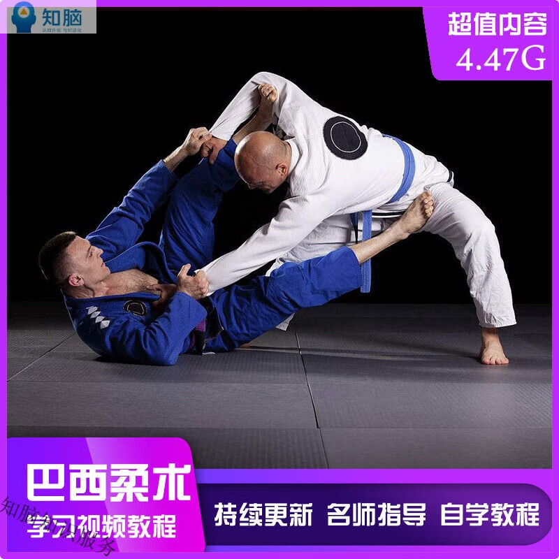 合集巴西柔术 新手入门到精通全套零基础自学培训练教学视频网课程