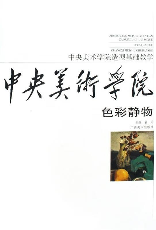 中央美术学院造型基础教学:色彩·静物 【正版】