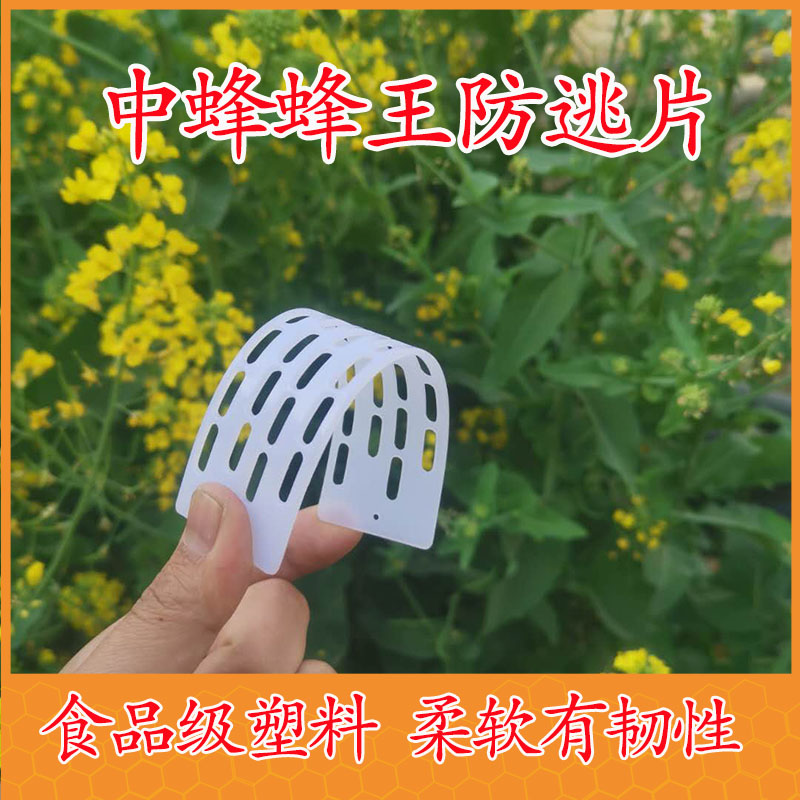 中蜂蜂王防跑片防逃框栅塑料隔王板新料20片装养蜜蜂专用工具 10片