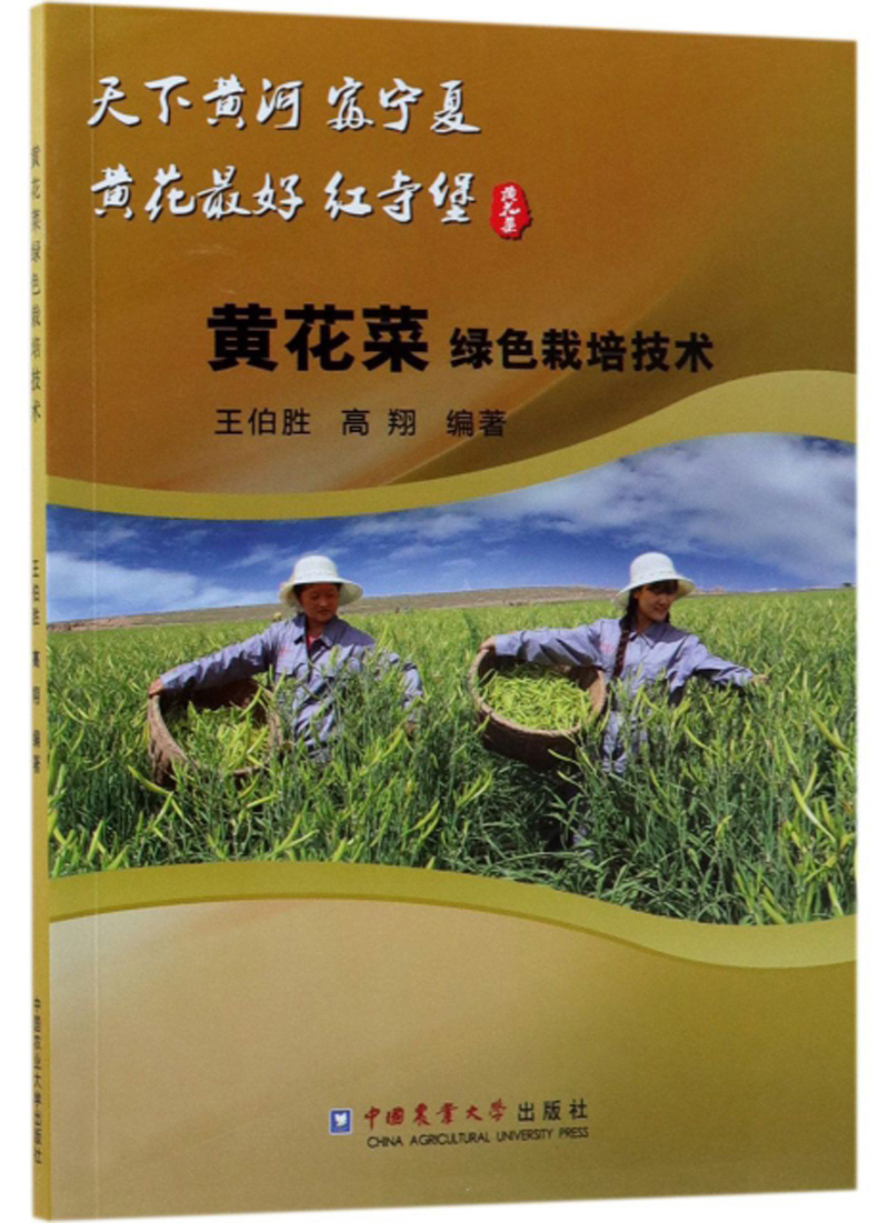 黄花菜绿色种植栽培技术