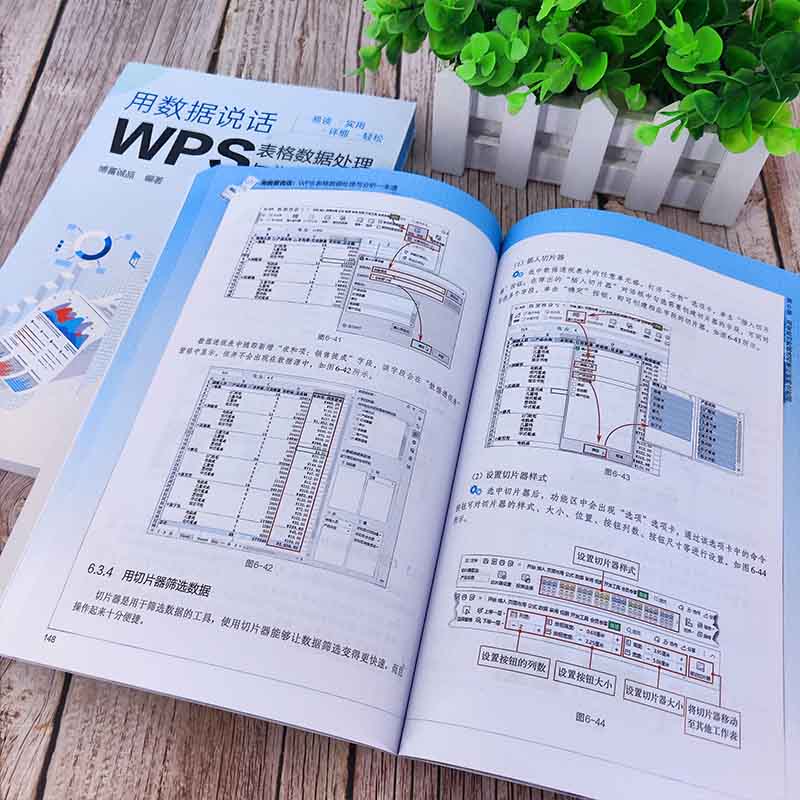 用数据说话:WPS表格数据处理与分析一本通详情图