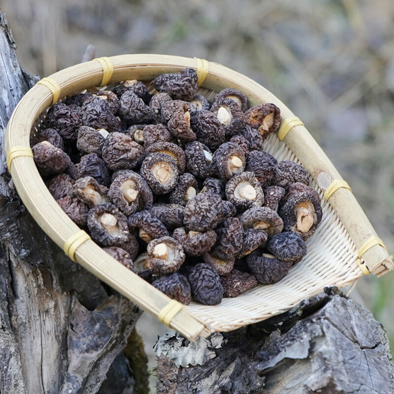 宏园 珍珠菇(小香菇)古田特产干货 菌菇煲汤肉厚98g/罐