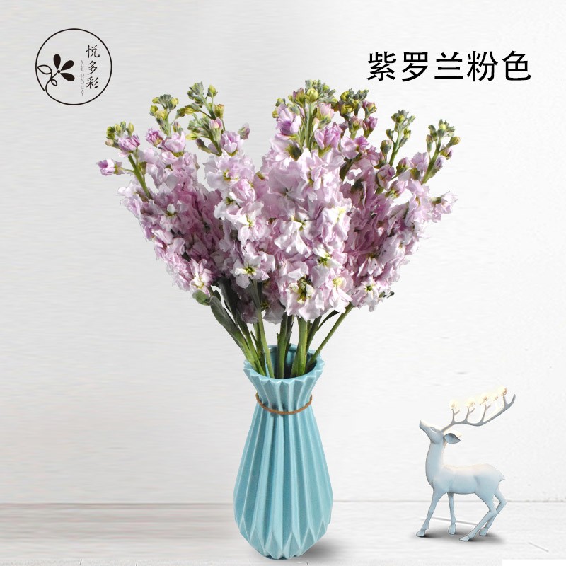 怎么看生活鲜花物品的历史价格|生活鲜花价格比较