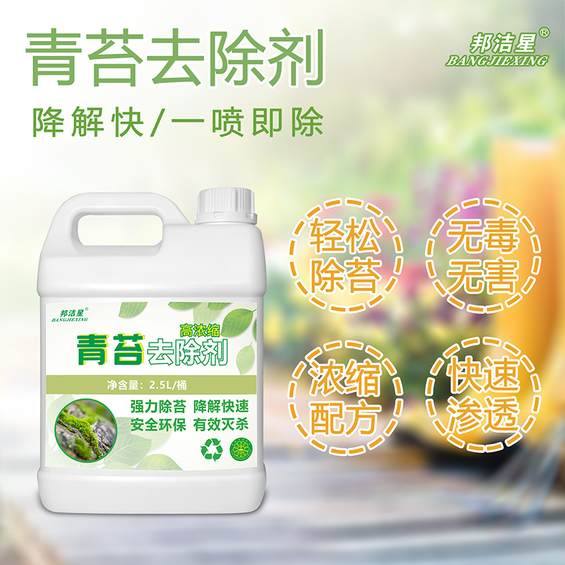 邦洁星 青苔清除剂水泥地面除青苔专用青苔净青苔克星墙面苔藓去除