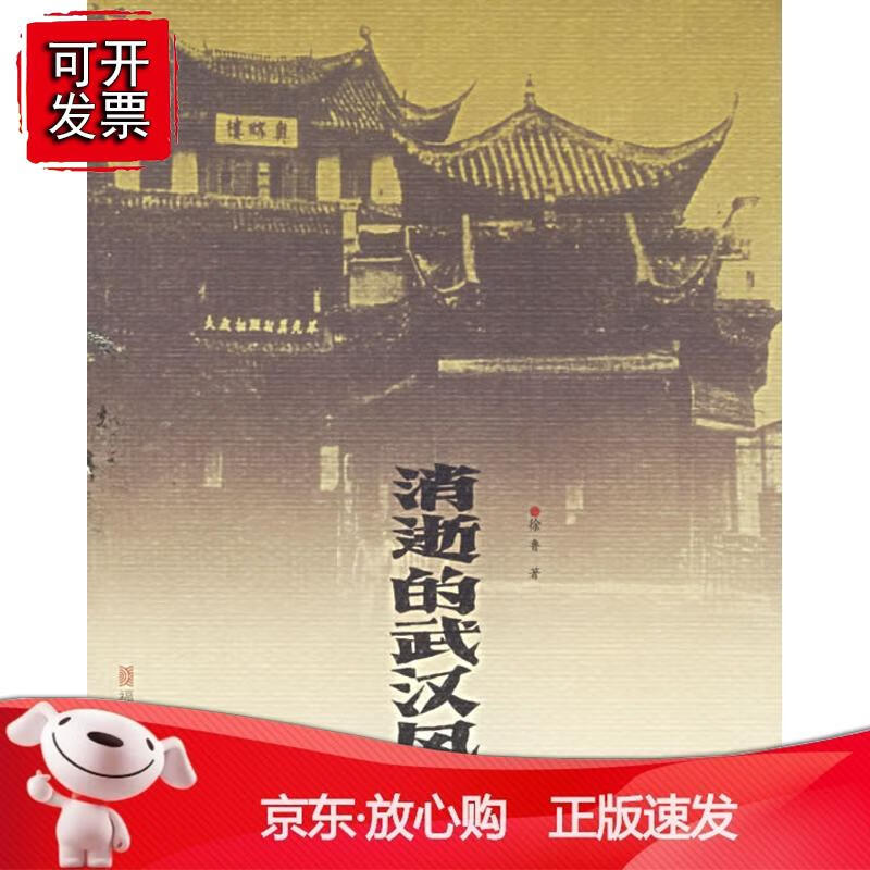 消逝的武汉风景