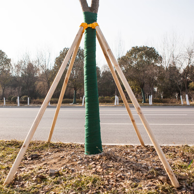 树木支撑架树木支撑杆防风固定器大树支架支撑木棍支架套装 杨木1.