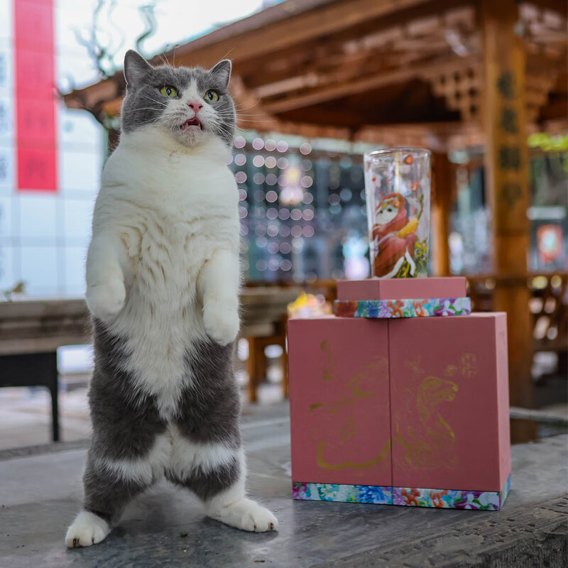 觀復(guanfu) 观复猫之云朵朵玻璃杯文创咖啡果汁大容量冰杯双层高硼