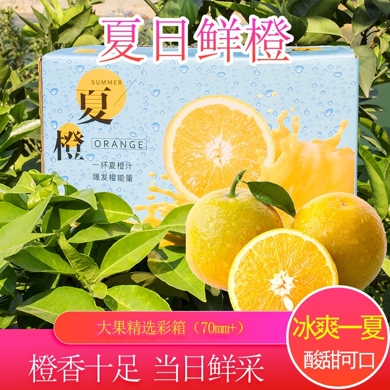 不怕晚秭归三峡夏橙酸甜鲜橙树采直发 精选彩箱（65mm+）） 5斤属于什么档次？