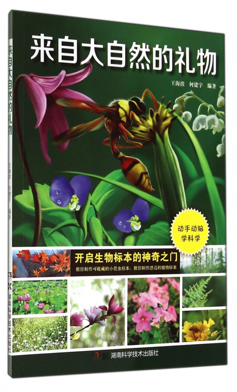 来自大自然的礼物
