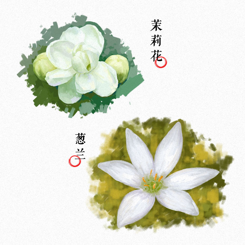 早安！我的植物邻居详情图