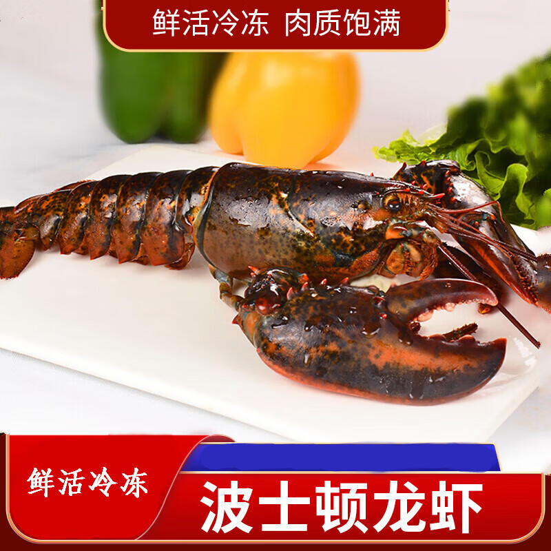 永相惜（Yongxiangxi） 波士顿龙虾鲜活冷冻大龙虾海鲜水产加拿大超大波龙1-10斤 500g