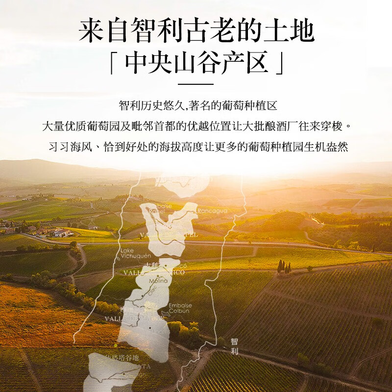 凡登尼【国际金奖/买1赠1箱】智利原瓶进口红酒整箱干红葡萄酒送礼盒装 【老藤13.5度】2箱共12瓶