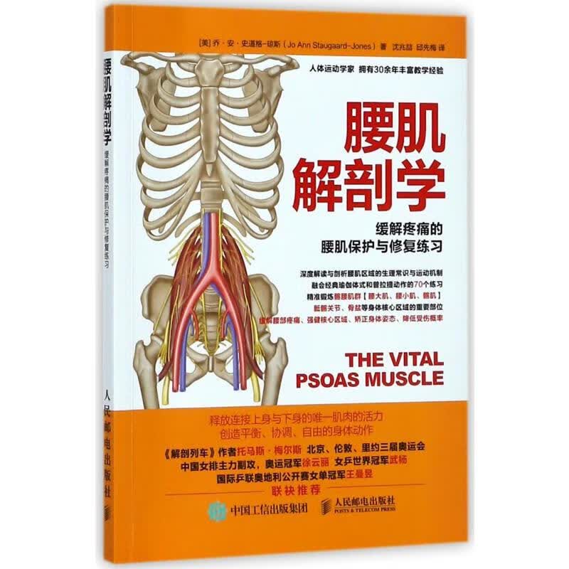 腰肌解剖学:缓解疼痛的腰肌保护与修复练习 (美)乔？安？史道格-琼斯 沈兆？//邱先梅 译 书籍
